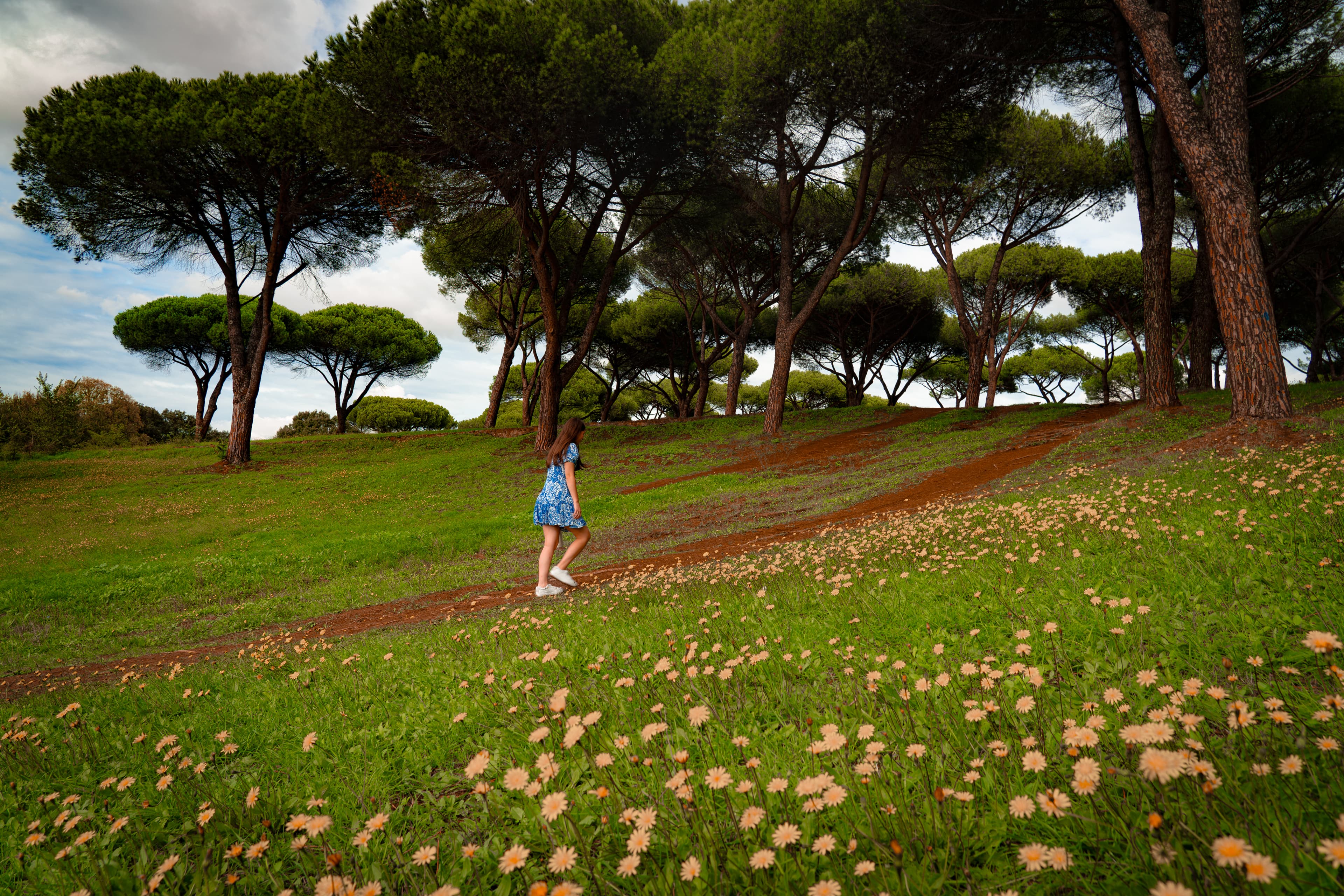 Exploring roman park